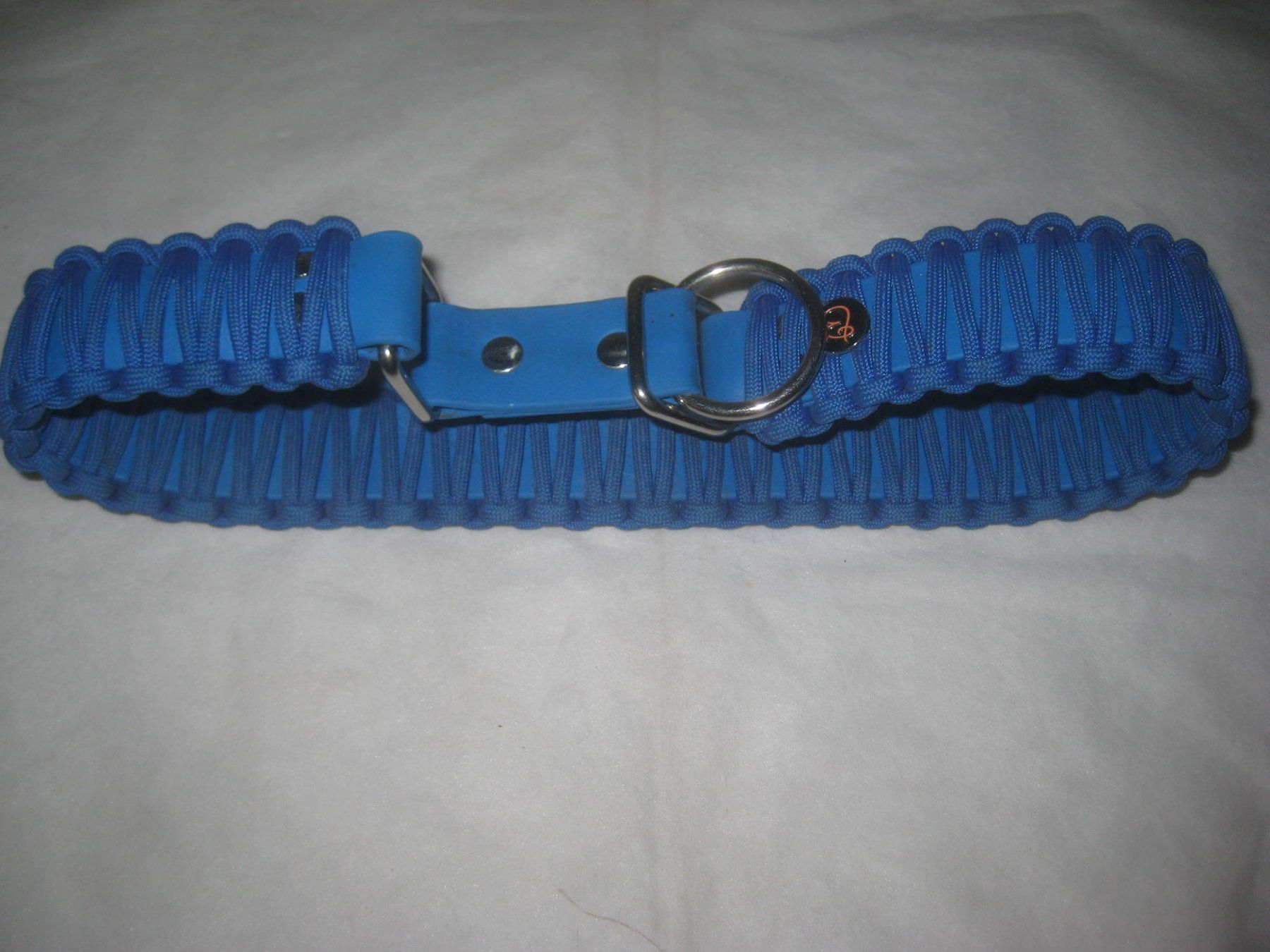 Collier et laisse: HUNDE HALSBAND – Neuf (Voir description) à Uster par flocke1 2