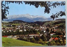 Herisau 778 m ü.M., Blick zum Säntis