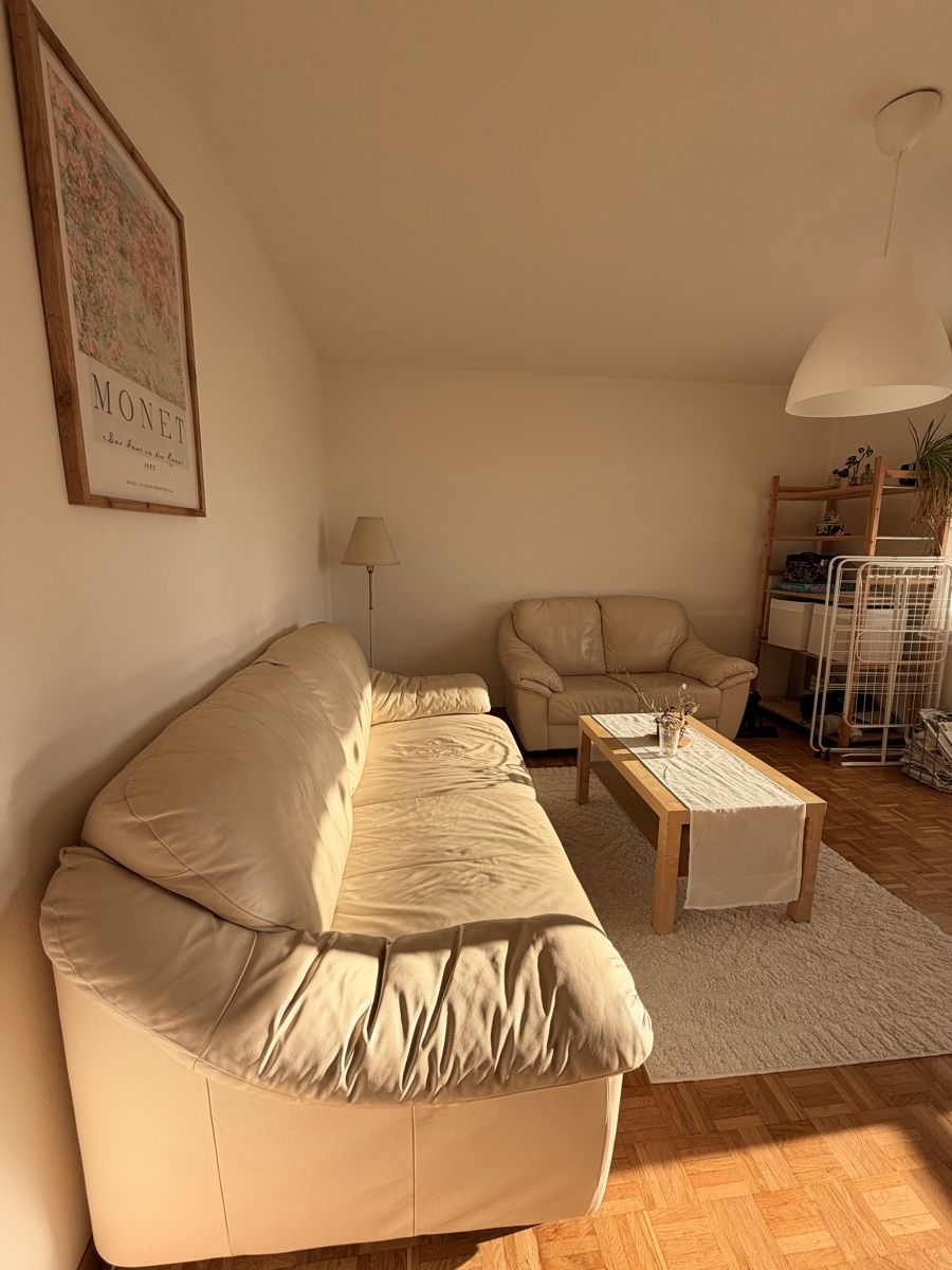 Sofas: Sofa – Gebraucht aus Zürich von Bollhalder-a. 1