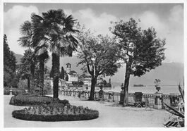 Brissago G