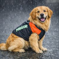 Hunde Jacken NEU