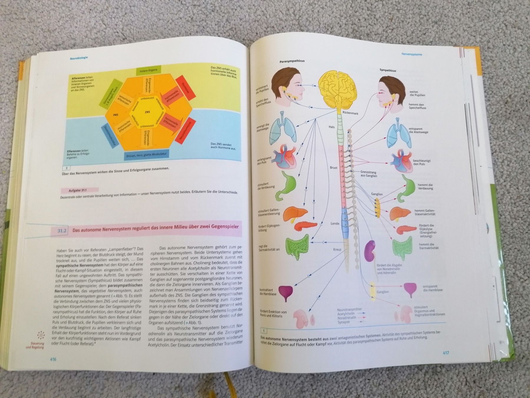 Libri: Markl Biologie – Usato da Mörel venduto da tim_w9py 2