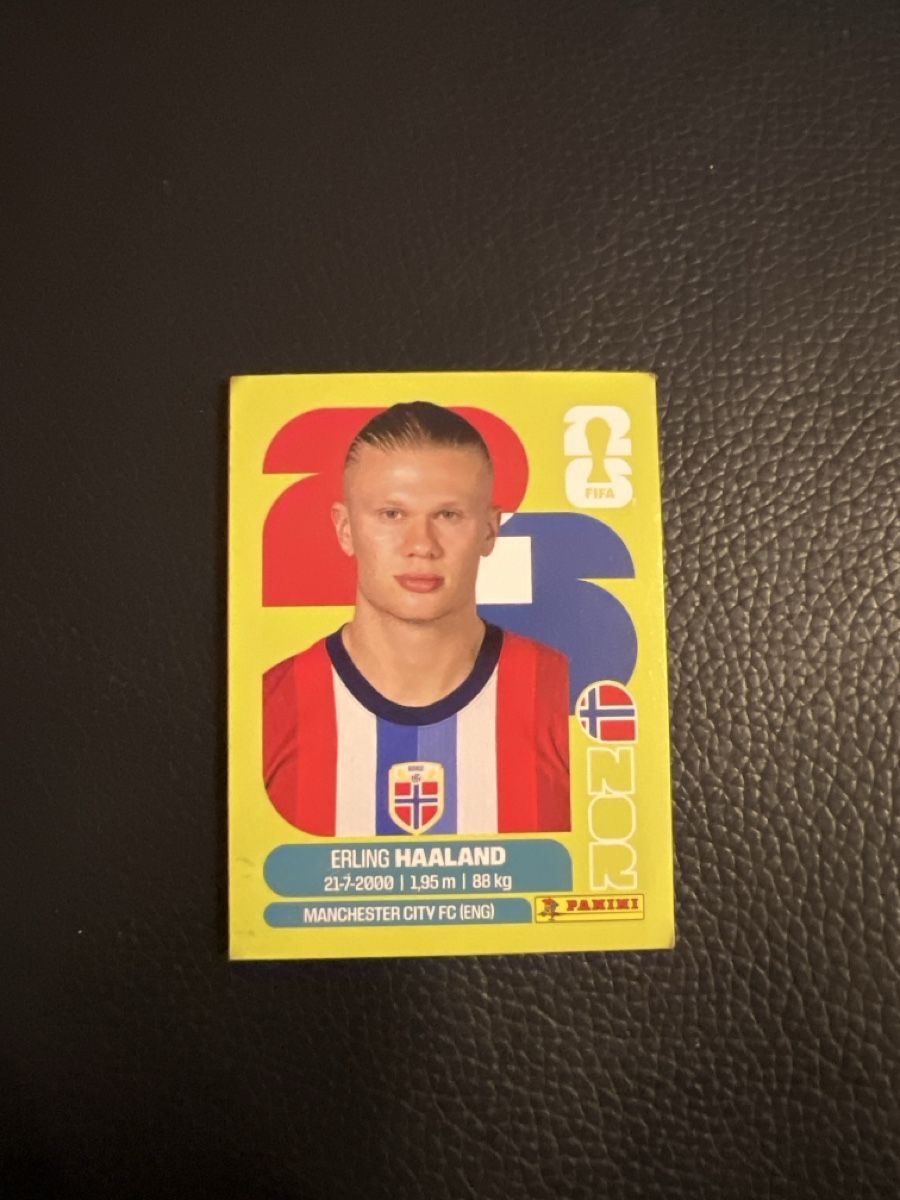 Panini Sammelbilder & Trading cards: Haaland – Neu (gemäss Beschreibung) aus Spreitenbach von bratunac