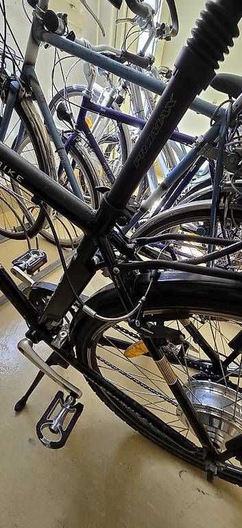 Biciclette: E-Totem E-Bike (25 kmh) – Usato da Thun venduto da LittleGuruu 1