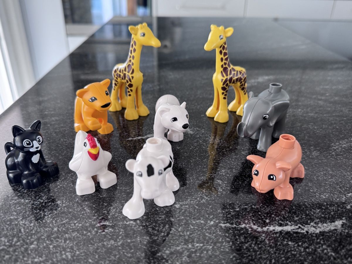 Lego Giocattoli: Duplo Bausteine und Tiere – Usato da Wiesendangen venduto da Biker39 3