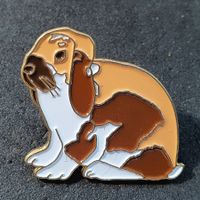 Y627 - Pin Hase