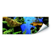 Wallprint Korallenriff 100x50cm (neu, UVP 86.90 Fr.)