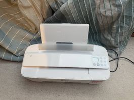 Drucker HP