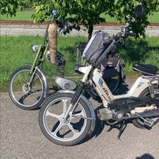 Profile image of sukraM73