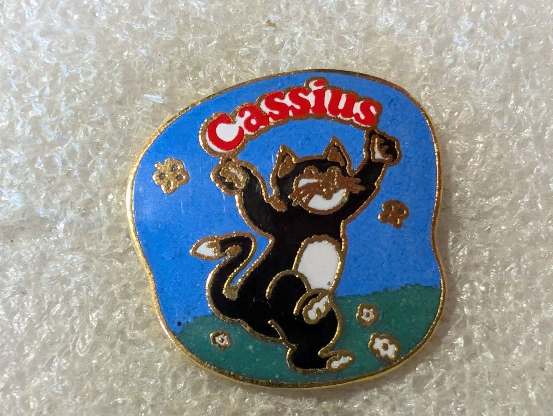 Plaketten & Abzeichen: Ansteckpin 153: Cassius – Gebraucht aus Oppligen von Pin-Fall-Shop