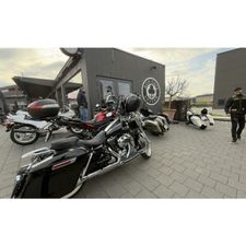 Profile image of Steal1
