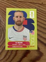 Panini USA 4