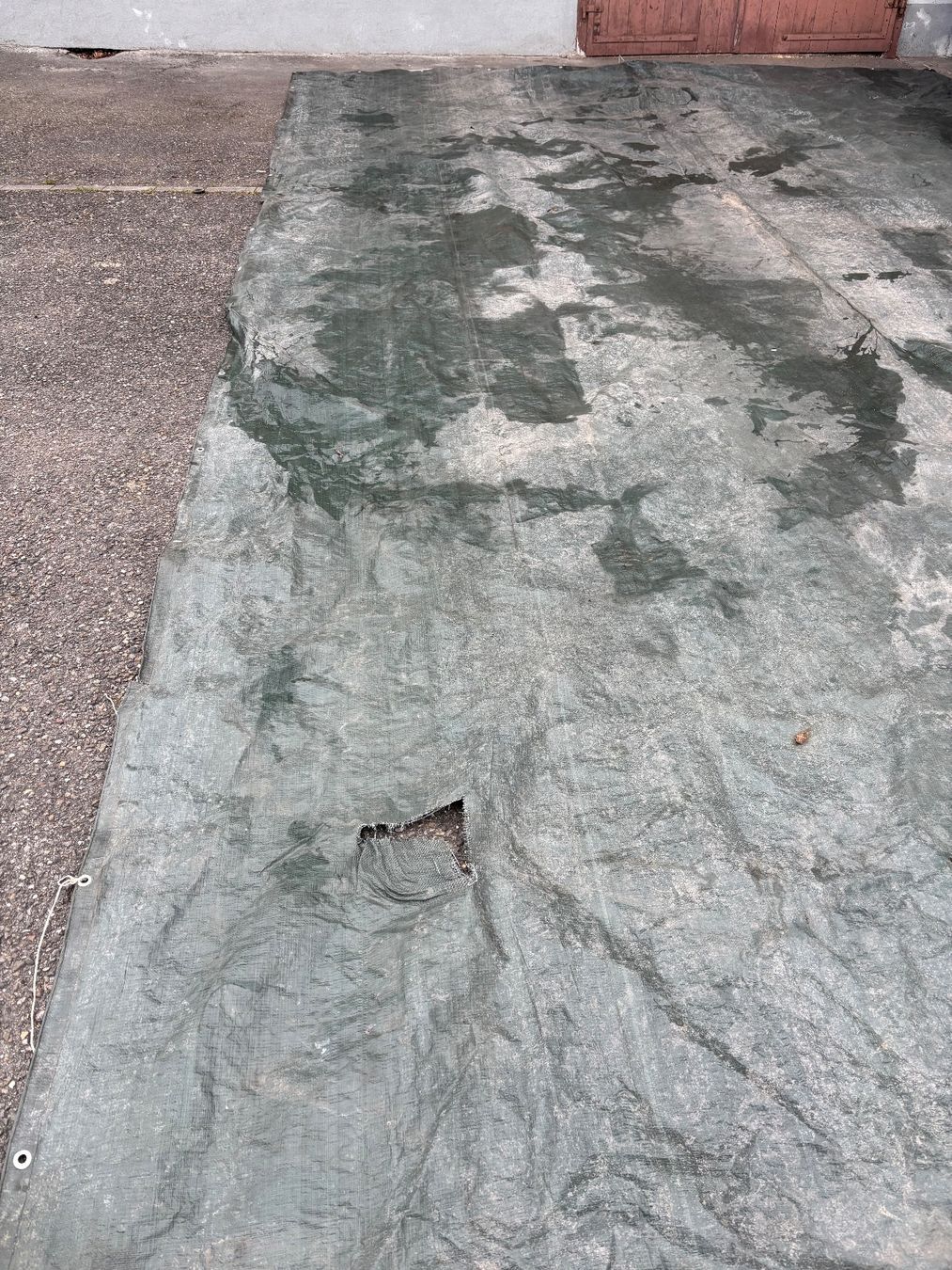 Altro: Blache Grün – Usato da Sennhof venduto da joel.c 2