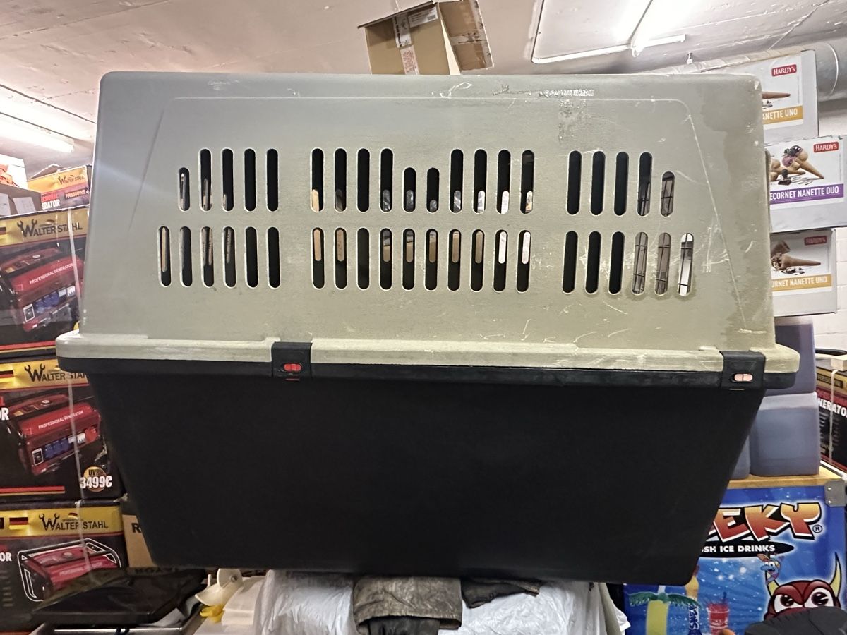Gabbie, trasporto & Sicurezza: Hundebox – Usato da Winterthur venduto da lulu0128 1
