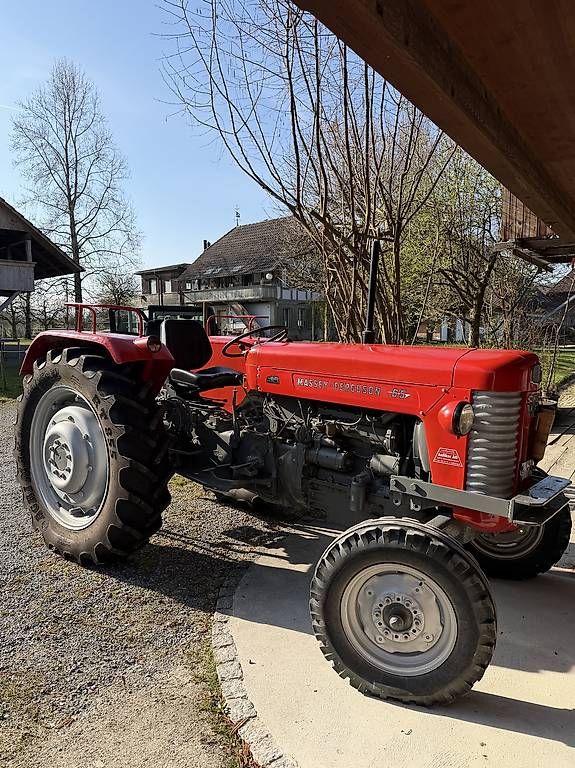 Massey Ferguson Trattori: Massey Ferguson 65 – Usato da Grafenried venduto da bet_j2pm