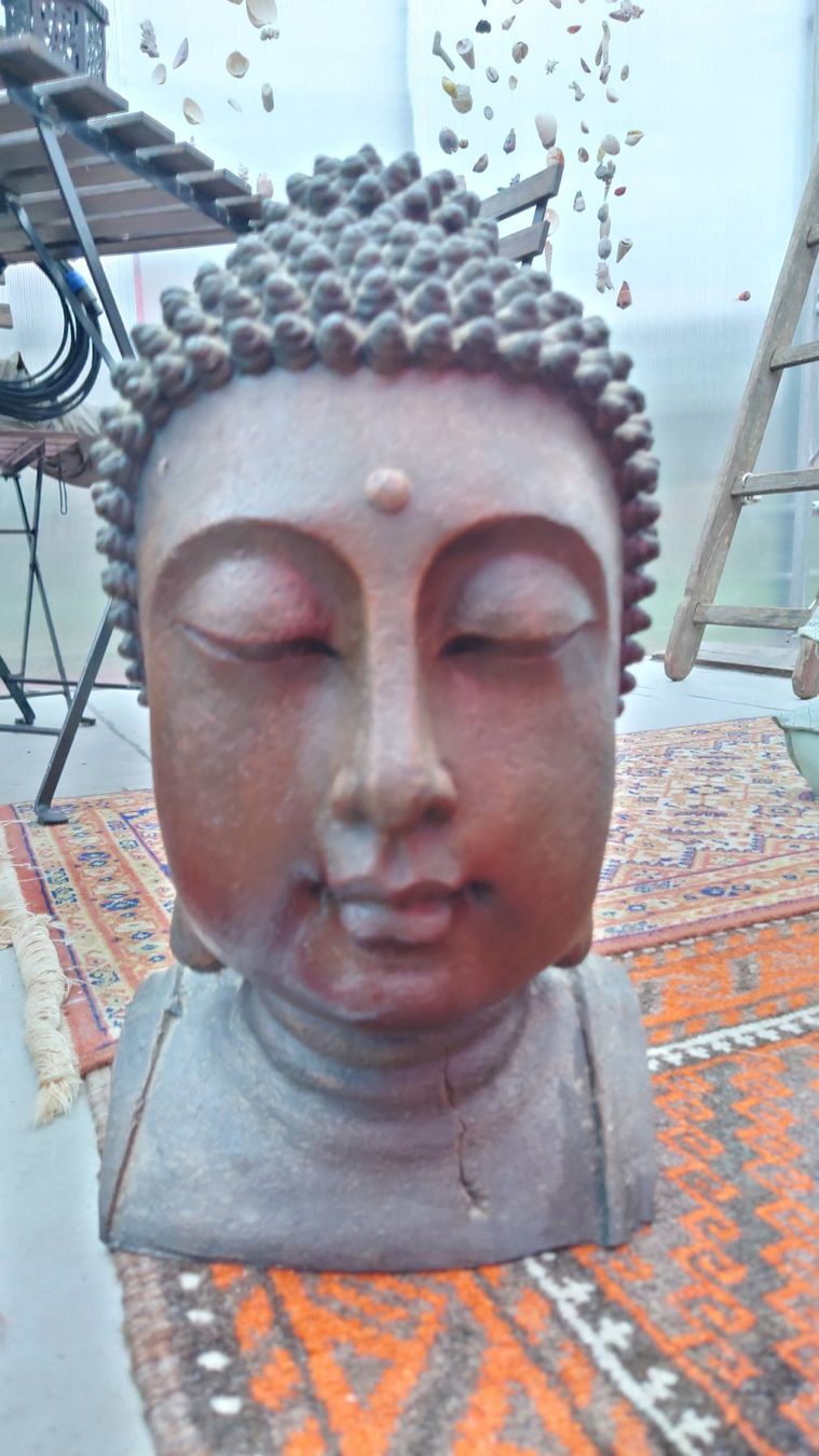 Sculture & Statue: Budha Kopf Skulptur 30 cm – Usato da Wittenbach venduto da Aberanders