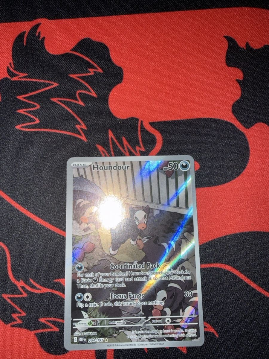 Pokémon Carte collezionabili: Pokemon Karte Houndour 204/197  – Nuovo (secondo la descrizione) da Basel venduto da ari_s727