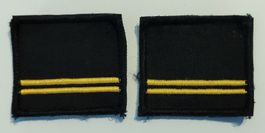 Grades de poitrine