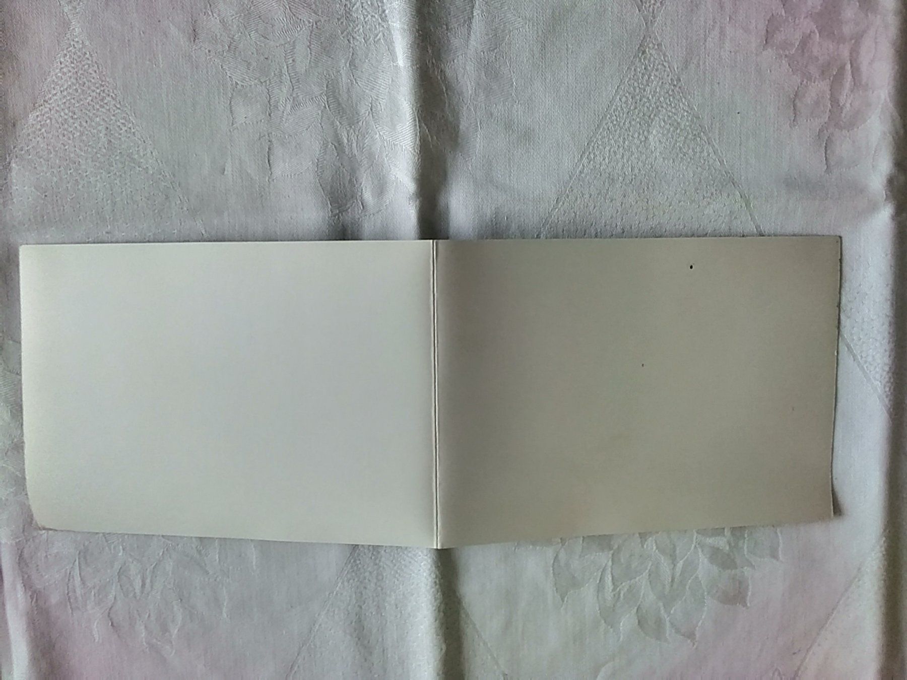 Cartoline postali: GL Glarus Panoramakarte – Usato da Appenzell venduto da lama19 4