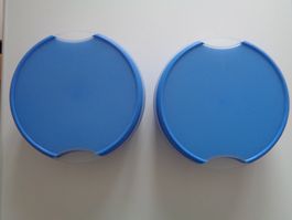 Tupperware Transparence, 2 Guetzlidosen