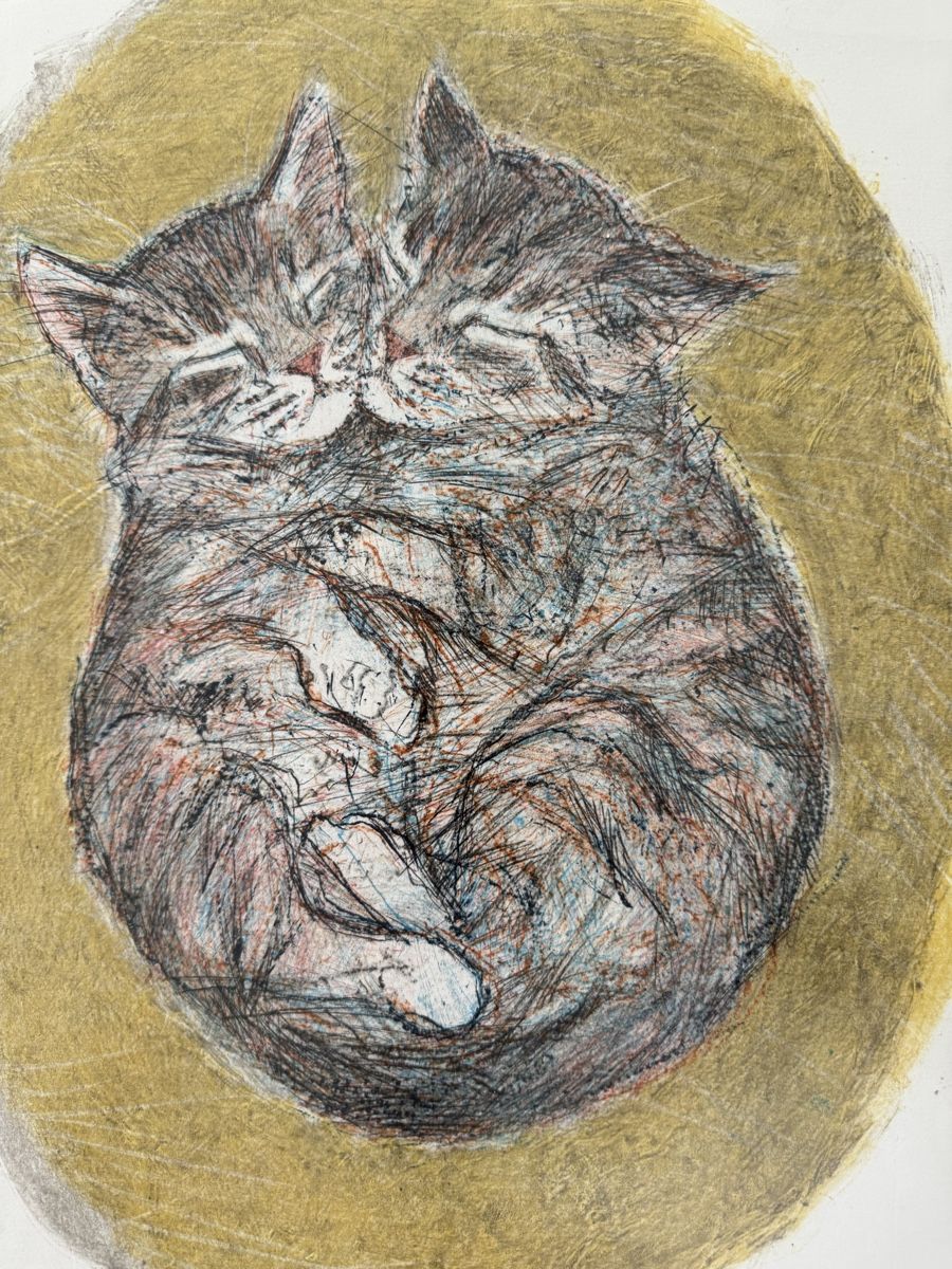 Grafica & Litografie: Fritz Hug Lithographie – Usato da Safenwil venduto da Corahund 1