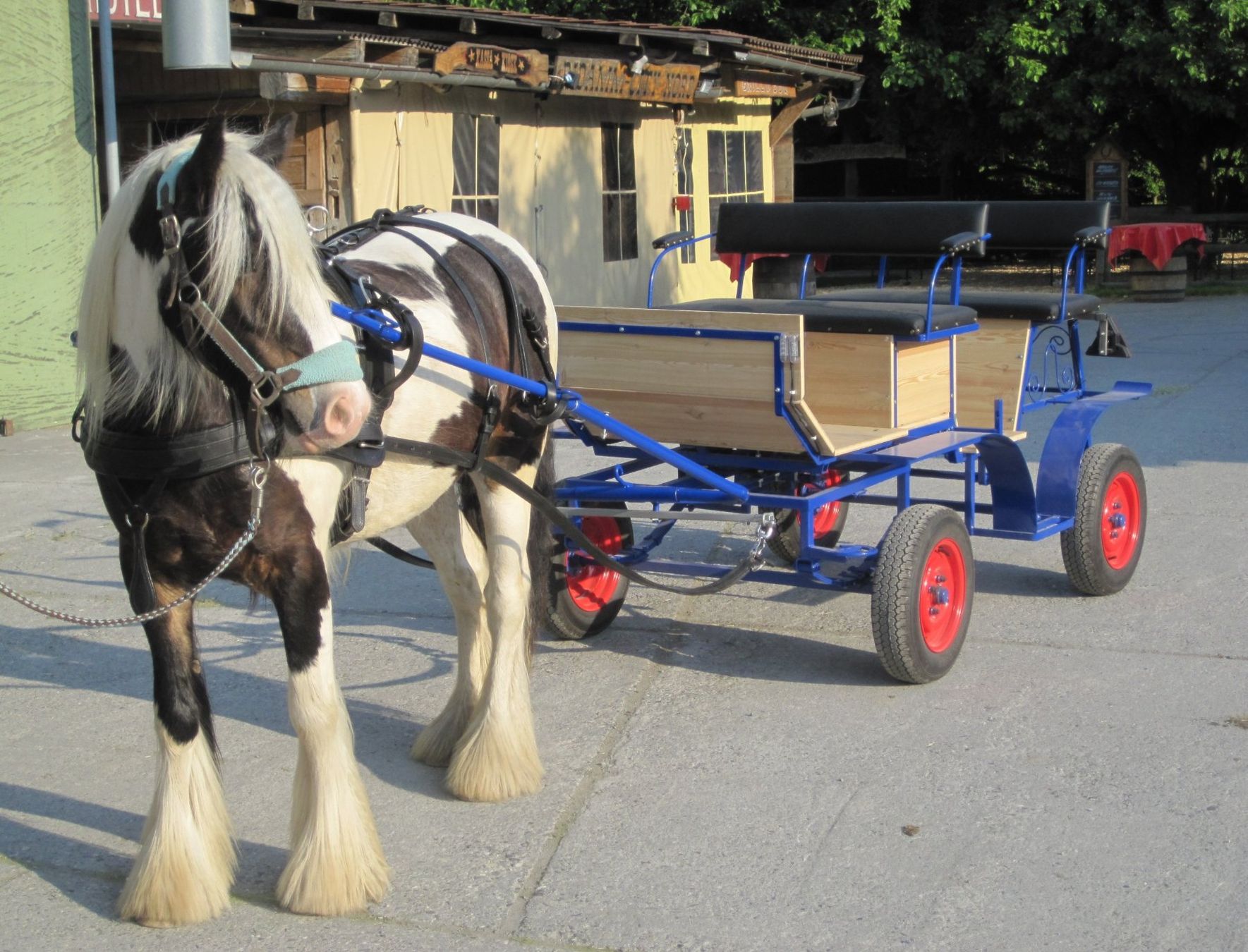 Kutschen: Vierplätzer-Kutsche  + Brustblattgeschirr Cob – Gebraucht aus Balzers von KajaFL
