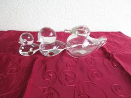 Glas Enten/Vögel, 2 x Reijmyre Sweden, 1x Glasi Hergiswil