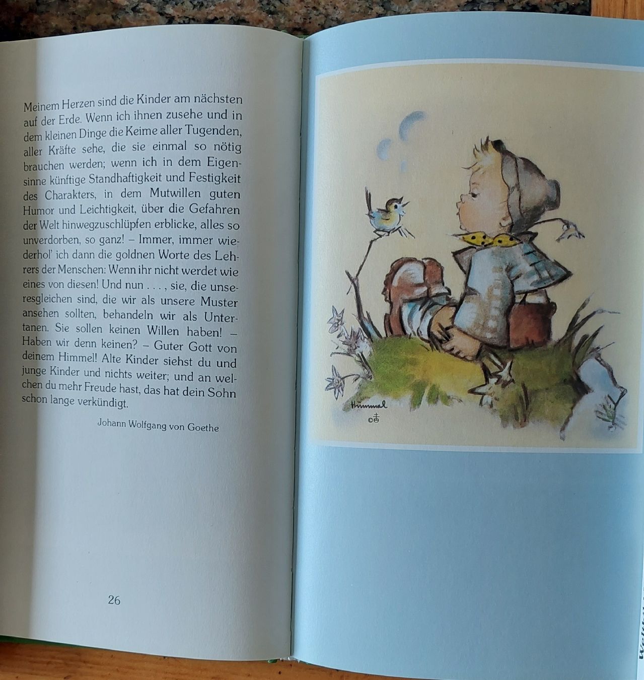 Livres: Bücher  – Neuf (Voir description) à Zizers par Pinot55 1