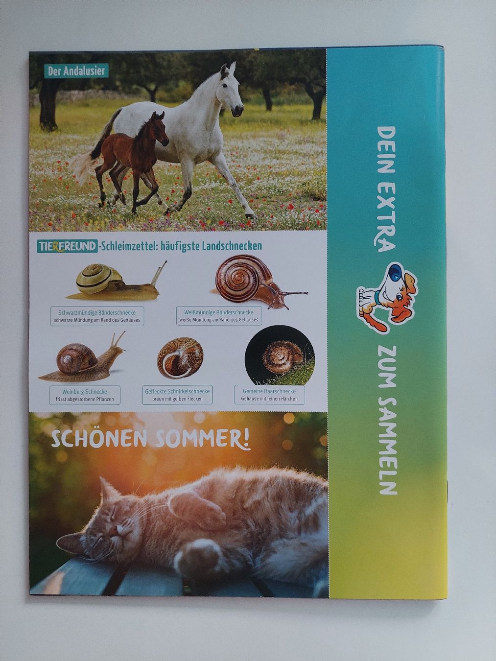 Riviste & Magazine: Tierfreund Magazine 10 Stk. – Usato da Liesberg Dorf venduto da FamilieBond007 5