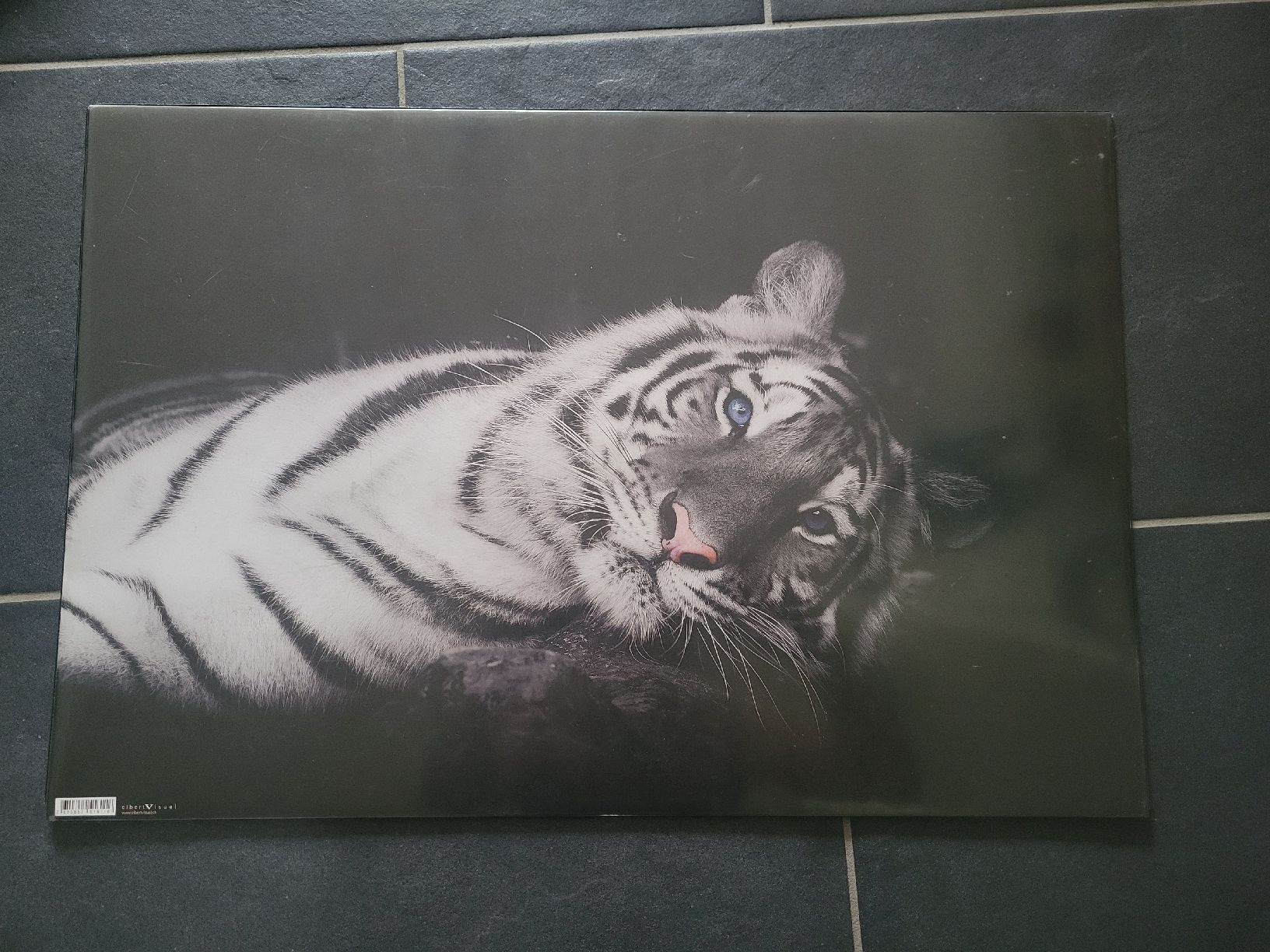 Poster & Bilder: Pultunterlage mit weissem Tiger – Neu (gemäss Beschreibung) aus Büsserach von Fairprice_83