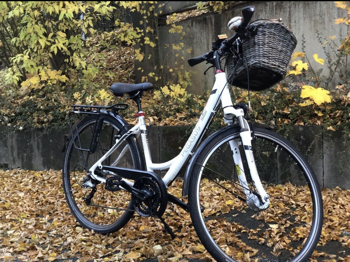 Biciclette: Velo Pegasus – Usato da Meggen venduto da mil_9p8n 4