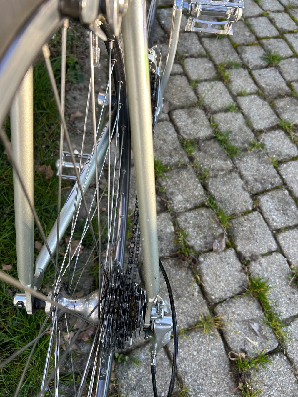 Colnago Biciclette: Vélo Colnago Titanio art Décor – Usato da Corsier GE venduto da cot_8bgx 9