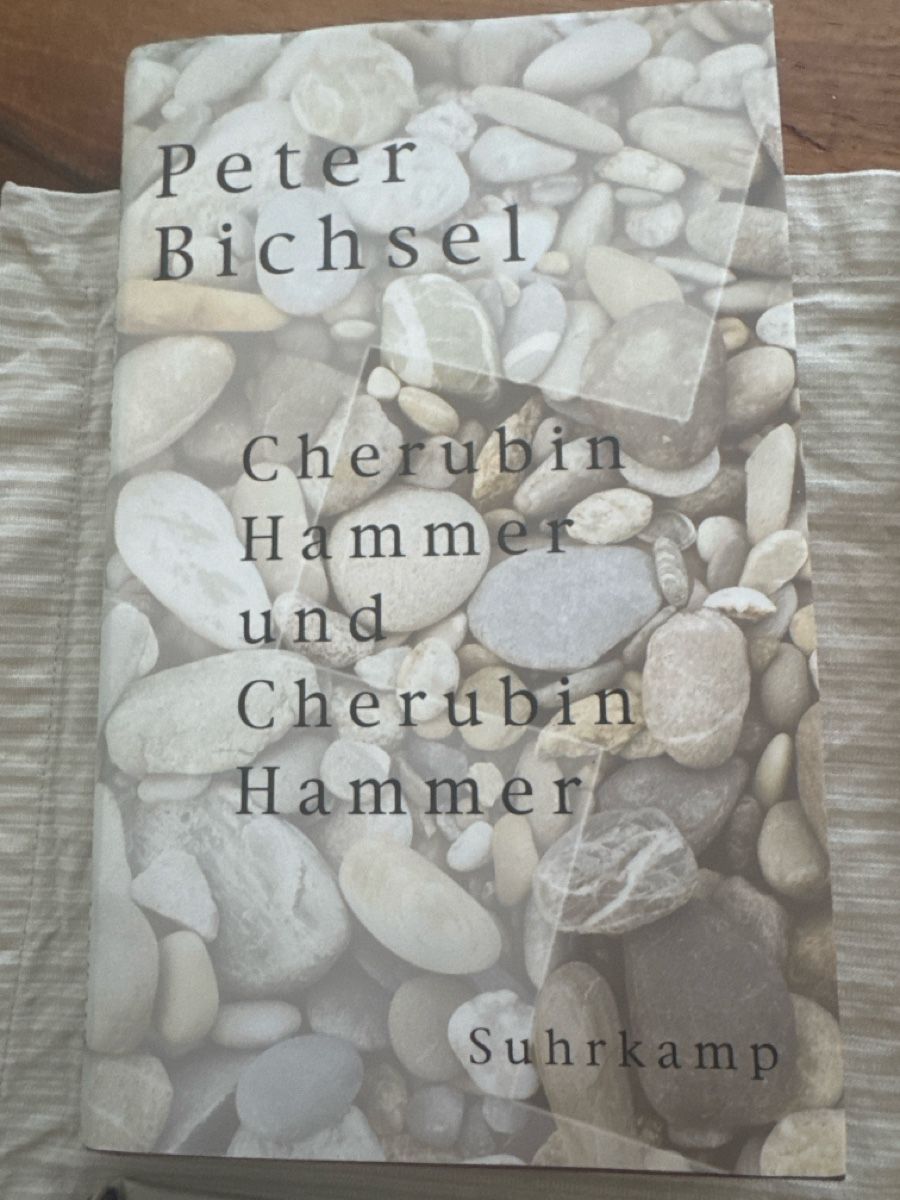 Libri: Peter Bichsel: Diverse Buecher. Ein Exemplar signiert – Usato da Solothurn venduto da Alex702 3