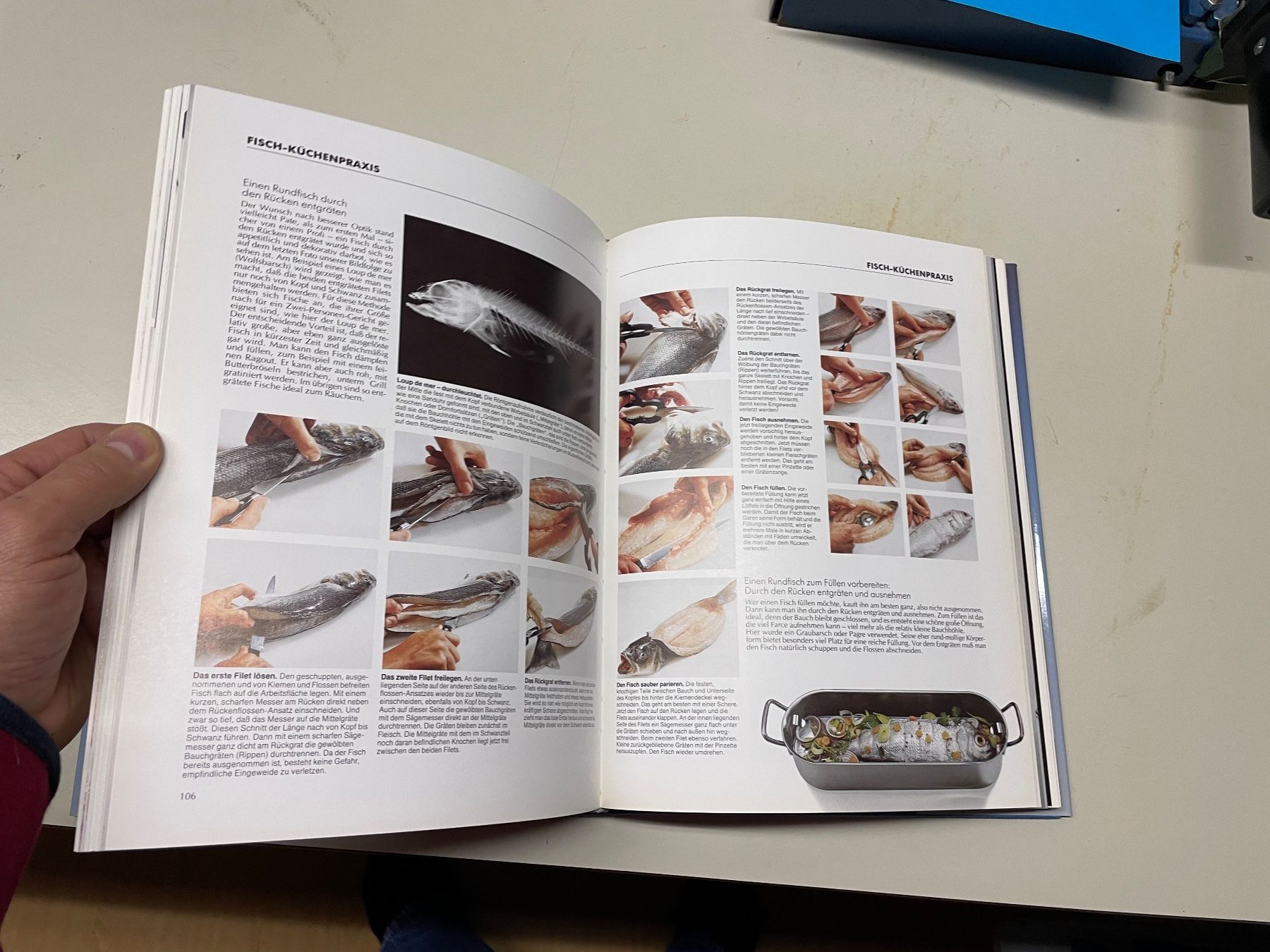 Libri: Tolles Fischbuch neuwertig – Nuovo e nell'imballaggio originale da Winterthur venduto da sportdisco2 2