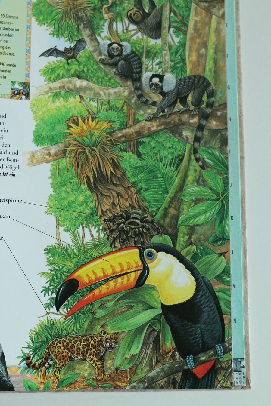 Libri: Der illustrierte Weltatlas – Usato da Zürich venduto da bentalent711 3