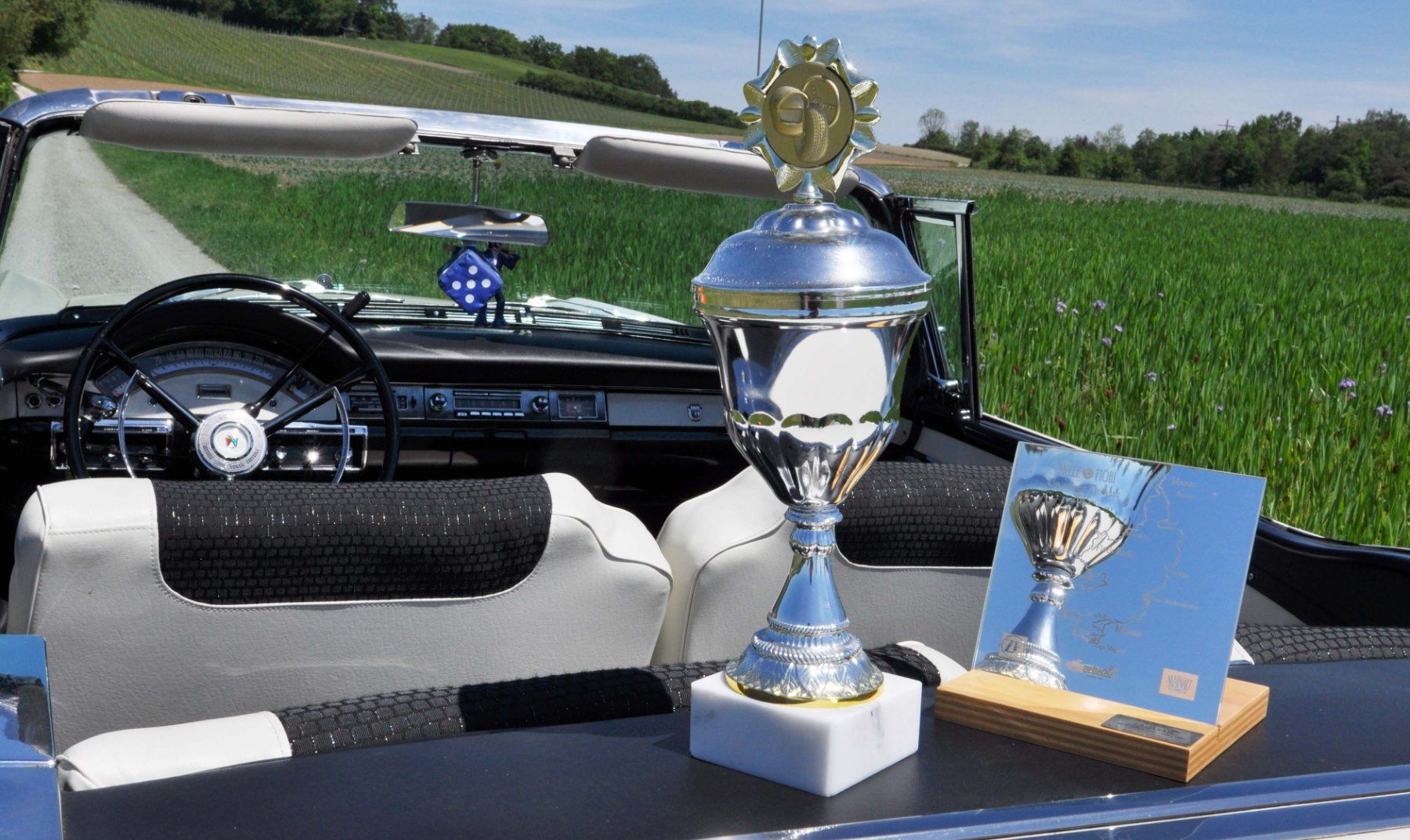 Ford Automobili: Ford Fairlane Retractable, Skyliner 1957 – Usato da Kreuzlingen venduto da Musikremo 9