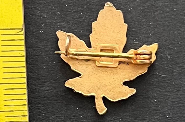 Plaquettes & Badges: Herbstblatt, Anstecker – D'occasion à Wabern par DaxKarten-75 1