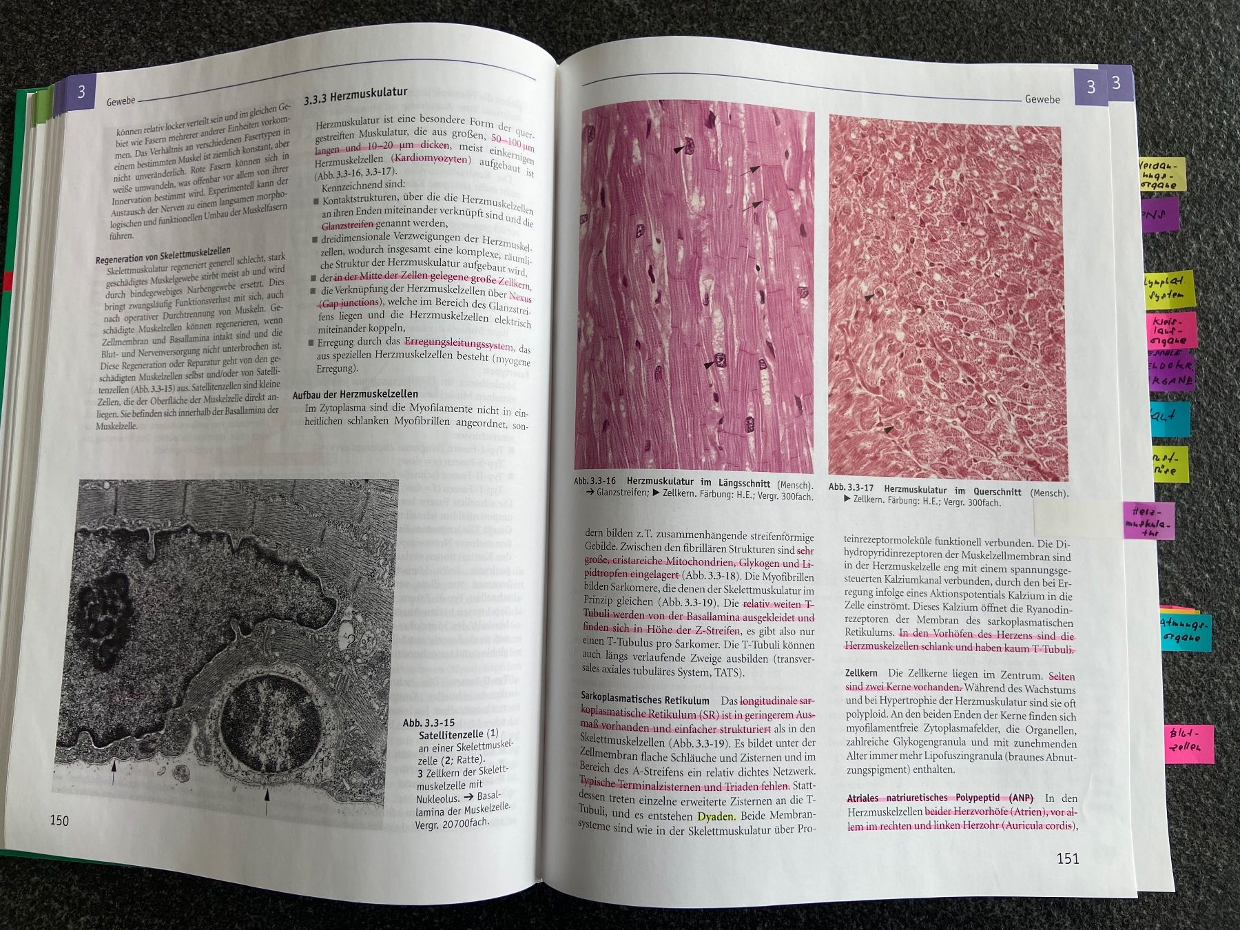 Bücher: Sobotta Lehrbuch Histologie – Gebraucht aus Schwarzenburg von Aha016 1