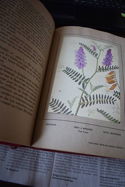Livres: Philippe Robert nos Fleurs – D'occasion à Brügg BE par Aristotolius 2