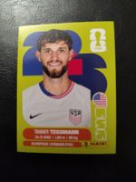 Panini FIFA World Cup 2026 USA 9
