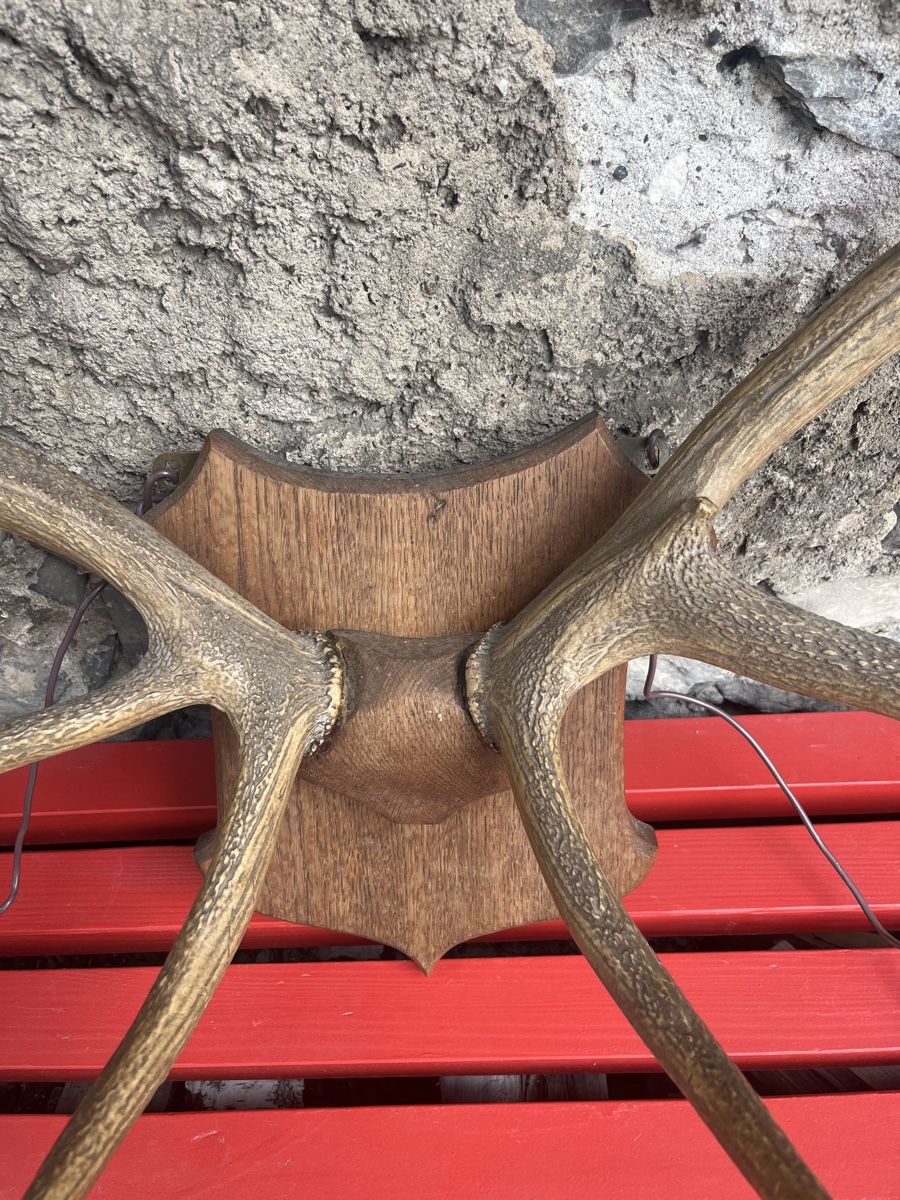 Sonstiges zum Sammeln & Seltenes: Großes Hirschgeweih auf Holzschild - Rustikale Herbstdeko! – Gebraucht aus Brienz BE von hey_z9vg 3