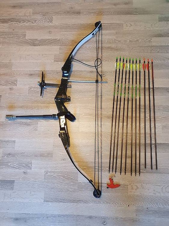 Pfeil und Bogen, compount (Gebraucht) in St.Gallen für CHF 350 – nur ...