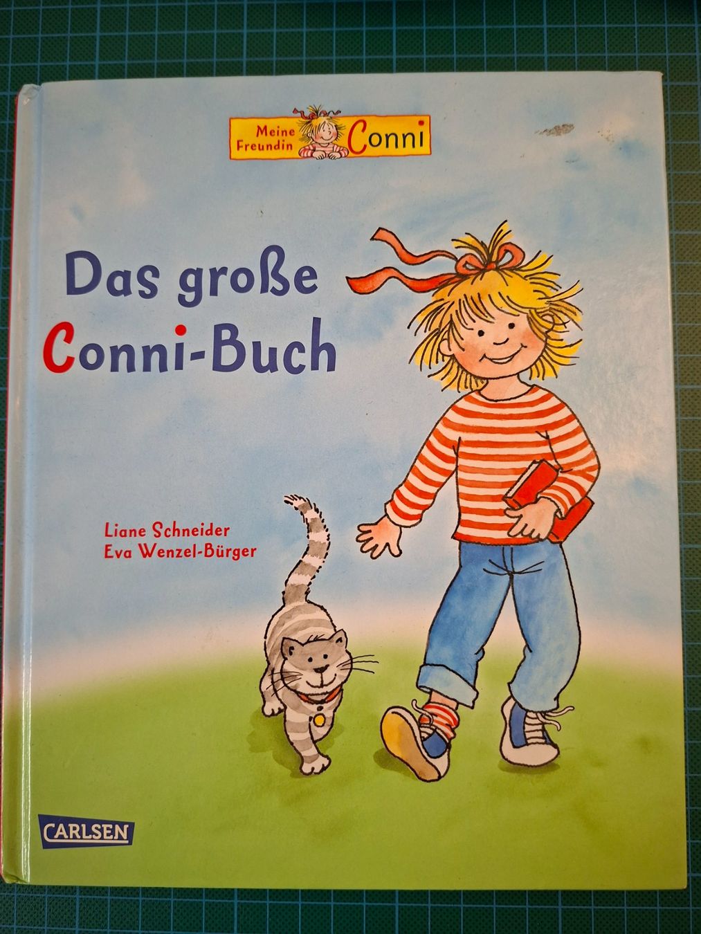 Libri: Kinderbuch – Usato da Reidermoos venduto da Irma-Maria