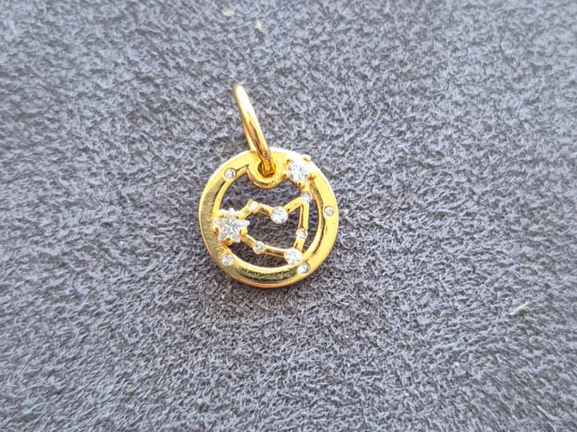 Ciondoli: Silber Charm Sternzeichen Steinbock goldfarbig +Garantie – Nuovo (secondo la descrizione) da Rotkreuz venduto da Carbone_Bijou-Shop