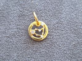 Silber Charm Sternzeichen Steinbock goldfarbig +Garantie