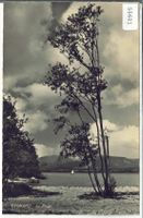 Yvonand - La Plage