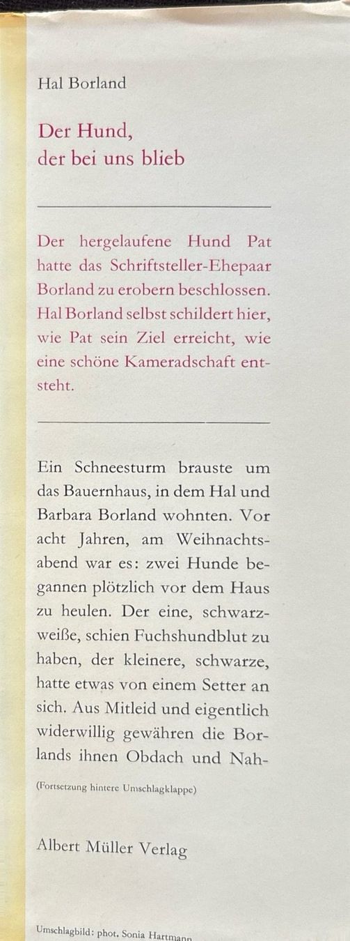 Libri: Der Hund, der bei uns blieb – Nuovo (secondo la descrizione) da Sarnen venduto da Livres 2