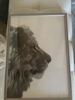 Wandbild „Löwe“ – silberner Rahmen