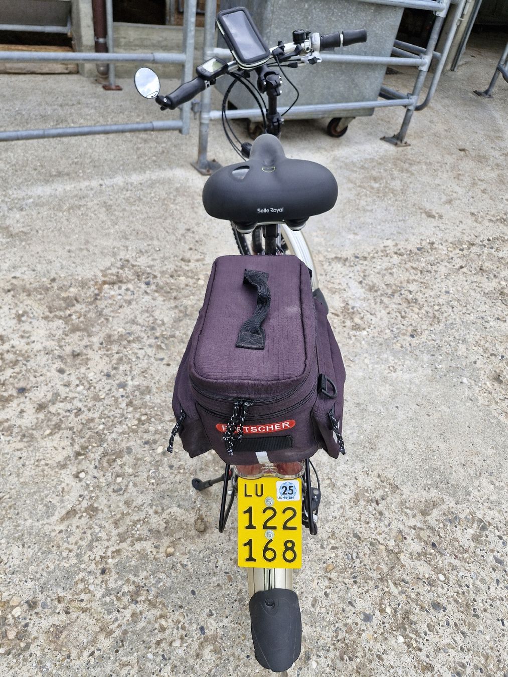 Flyer Biciclette: flyer hs 45 kmh – Usato da Menzberg venduto da elm_q9ff 3