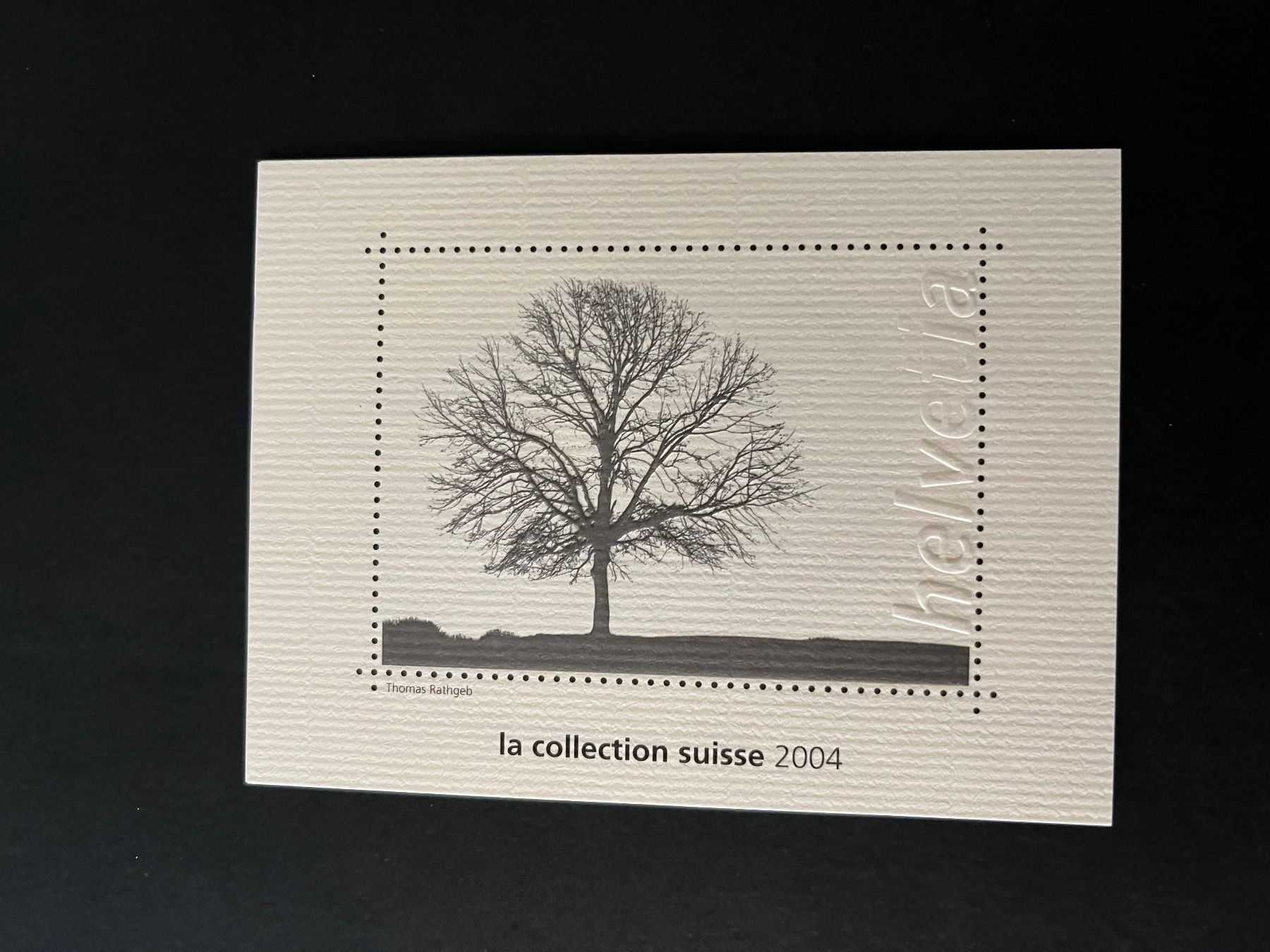 Vignette autostradali: Vignette aus Jahrbuch Schweizer Briefmarken 2004 – Nuovo (secondo la descrizione) da Illnau venduto da Django18